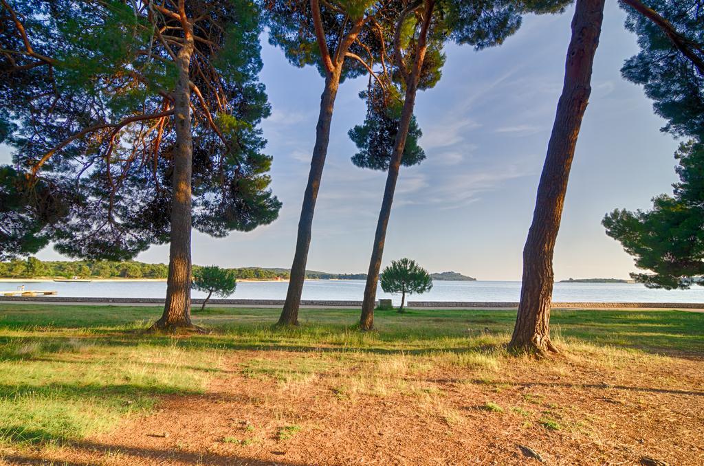 פאז'אנה Apartment Tesic Close To The Sea With Shared 4Xbicycles מראה חיצוני תמונה